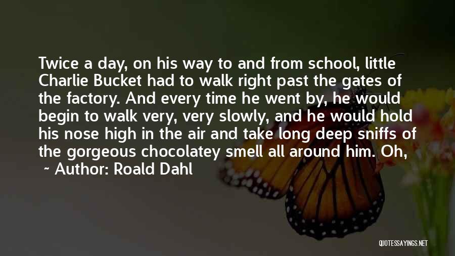 Charlie Bucket Quotes By Roald Dahl