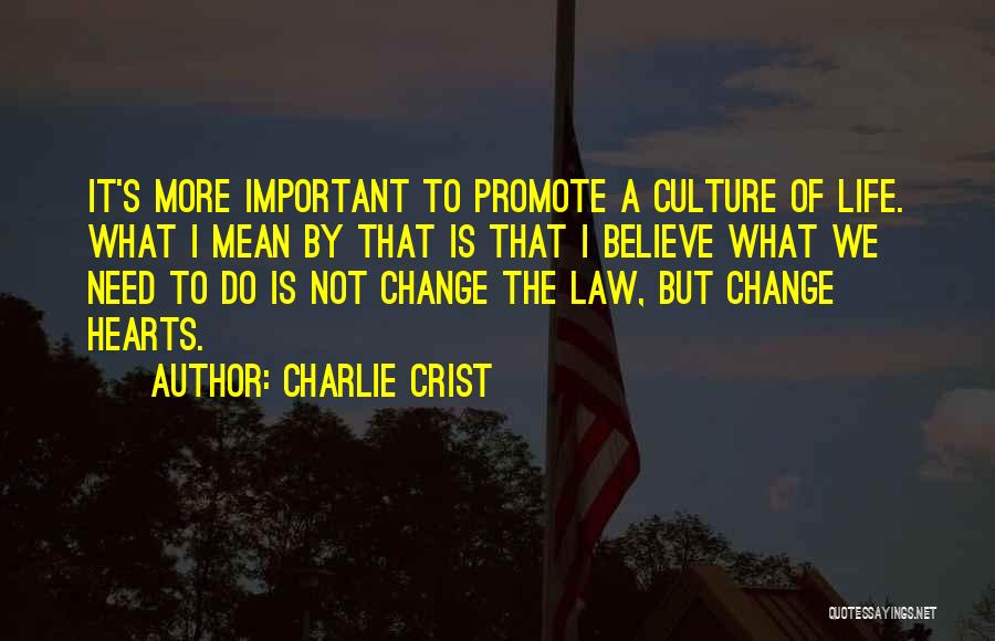 Charlie Crist Quotes 1498384