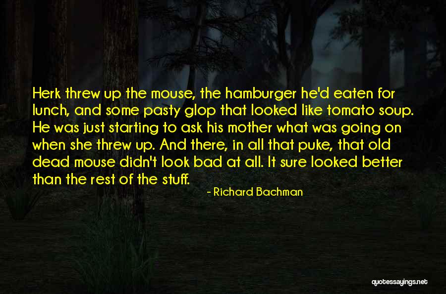 Charlie Decker Quotes By Richard Bachman Charlie Decker Quotes By Richard Bachman