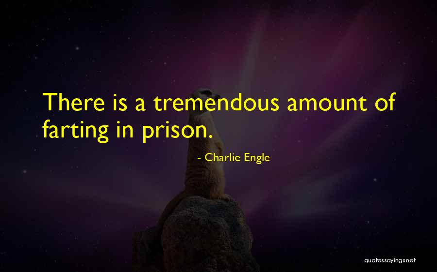 Charlie Engle Quotes 397562