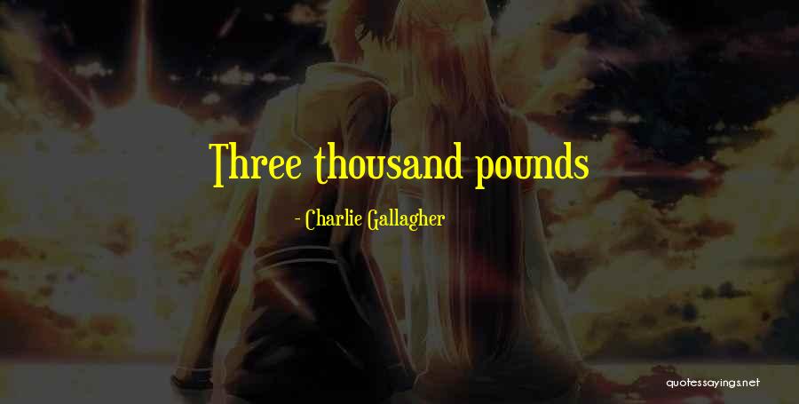 Charlie Gallagher Quotes 2258658