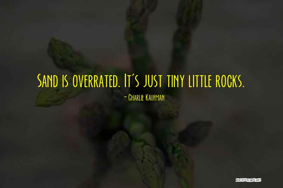 Charlie Kaufman Quotes 1220927 Charlie Kaufman Quotes 1220927