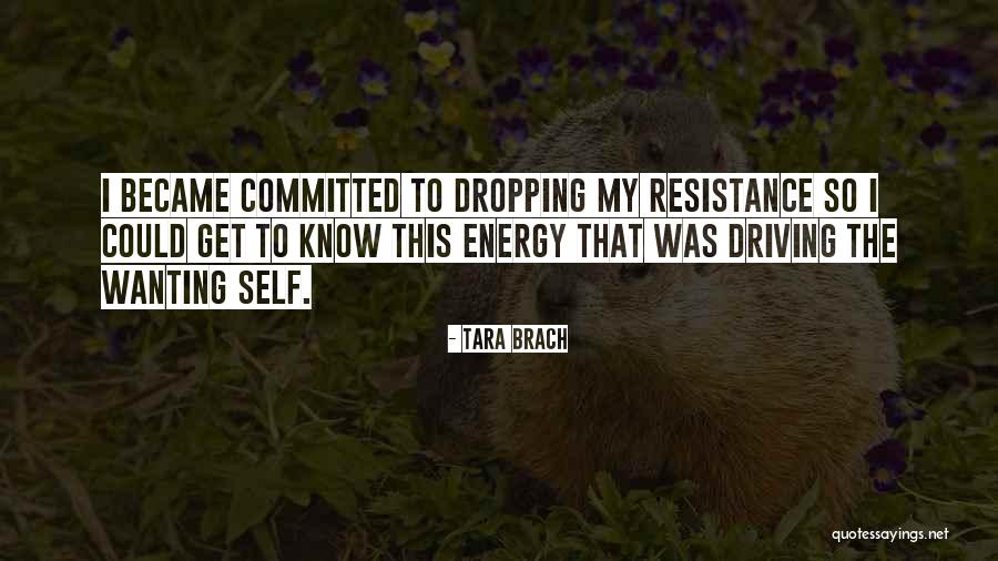 Charlie Lau Quotes By Tara Brach Charlie Lau Quotes By Tara Brach