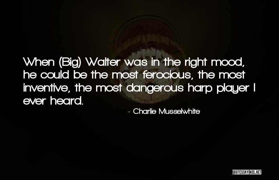 Charlie Musselwhite Quotes 628975