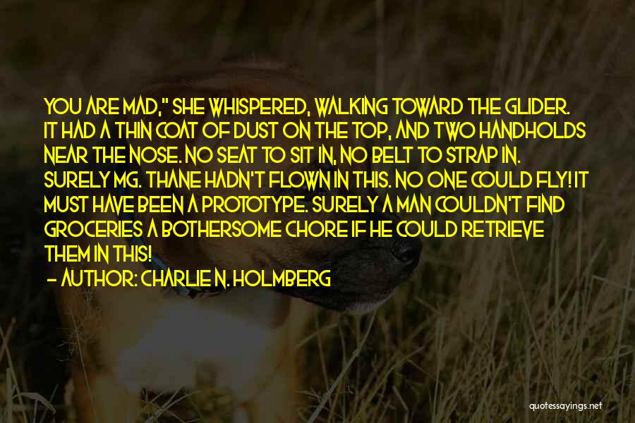 Charlie N. Holmberg Quotes 1917303 Charlie N. Holmberg Quotes 1917303