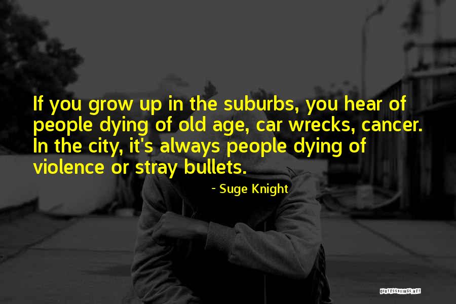 Charline Vanhoenacker Quotes By Suge Knight Charline Vanhoenacker Quotes By Suge Knight