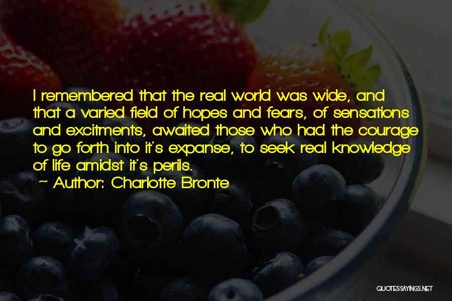 Charlotte Bronte Quotes 1816927