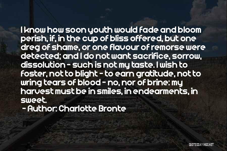 Charlotte Bronte Quotes 2150970