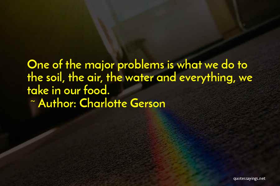 Charlotte Gerson Quotes 2006750