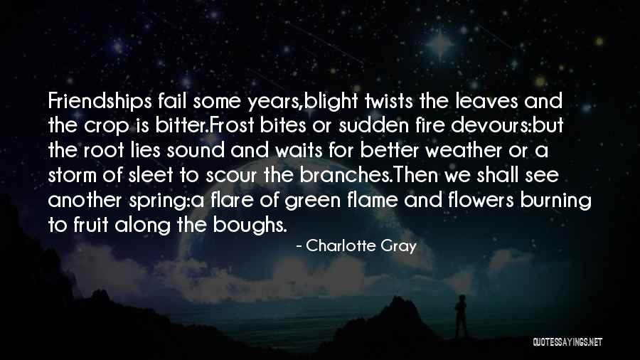 Charlotte Gray Quotes 2242307