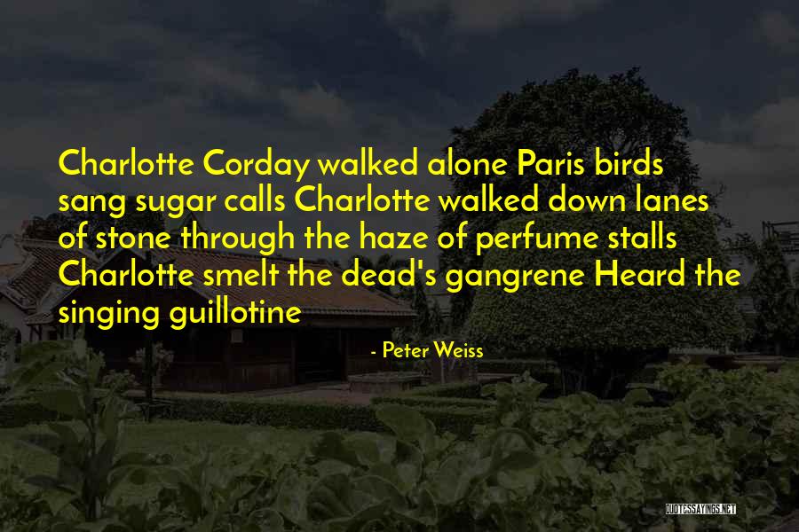 Charlotte Haze Quotes By Peter Weiss