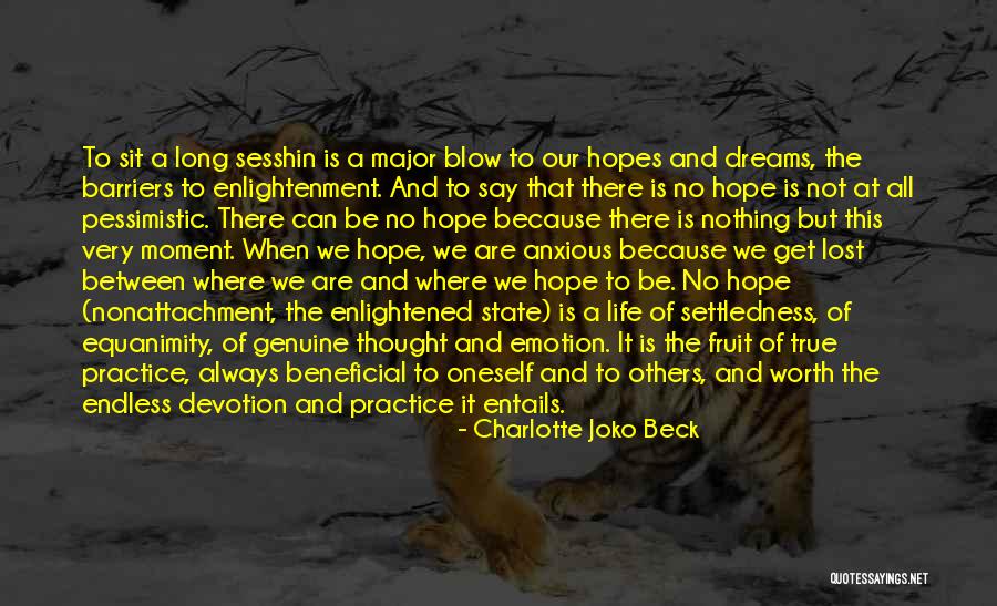Charlotte Joko Beck Quotes 1233685 Charlotte Joko Beck Quotes 1233685