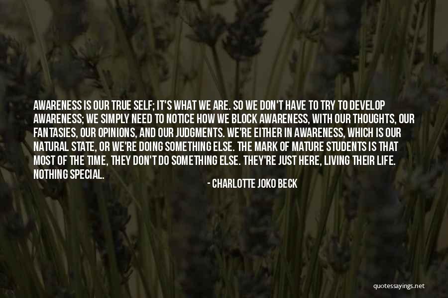 Charlotte Joko Beck Quotes 1634188 Charlotte Joko Beck Quotes 1634188