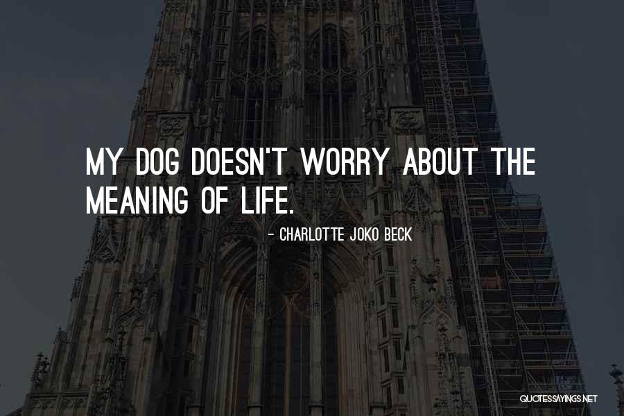 Charlotte Joko Beck Quotes 2238134 Charlotte Joko Beck Quotes 2238134
