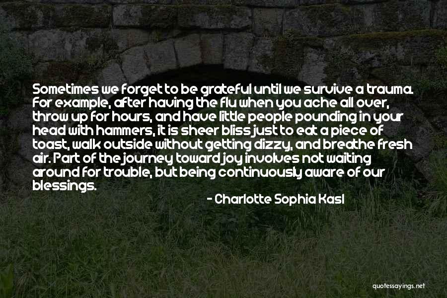 Charlotte Sophia Kasl Quotes 2031226