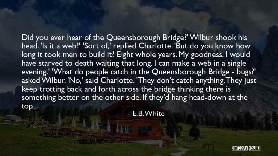 Charlotte Web Spider Quotes By E.B. White