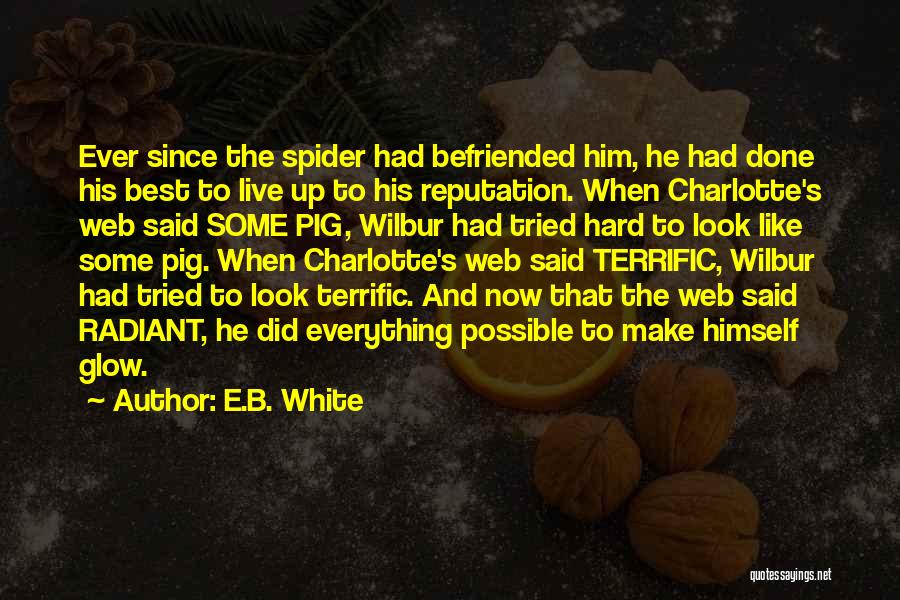 Charlotte Web Spider Quotes By E.B. White