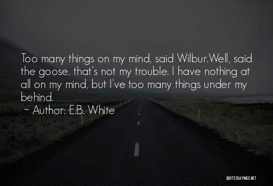 Charlotte's Web Quotes By E.B. White