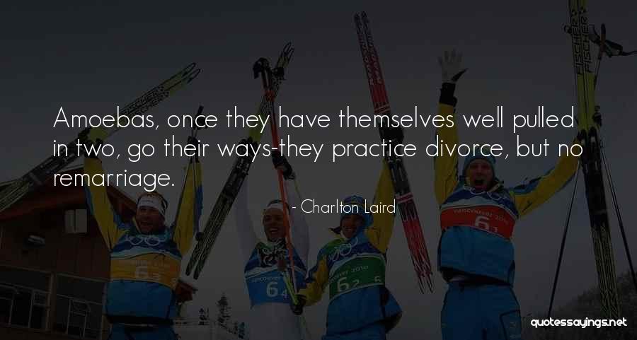 Charlton Laird Quotes 863124