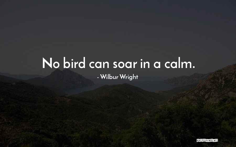 Charmille Vincent Quotes By Wilbur Wright Charmille Vincent Quotes By Wilbur Wright