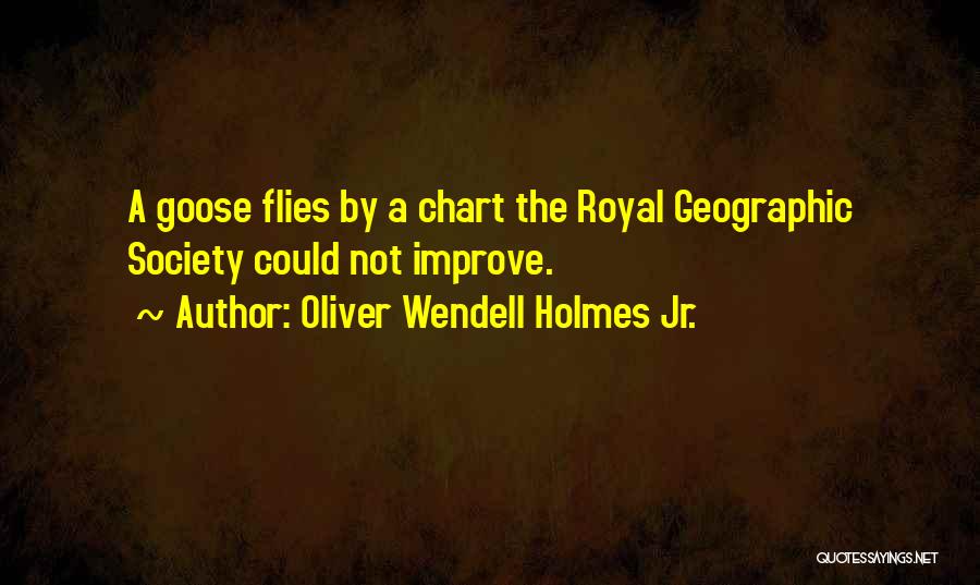 Chart Quotes By Oliver Wendell Holmes Jr.