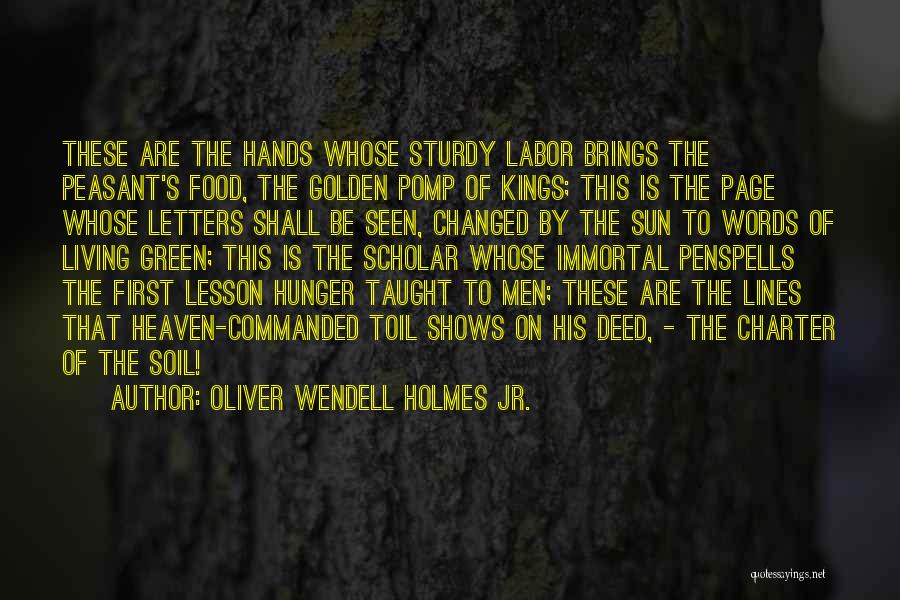 Charter Quotes By Oliver Wendell Holmes Jr.