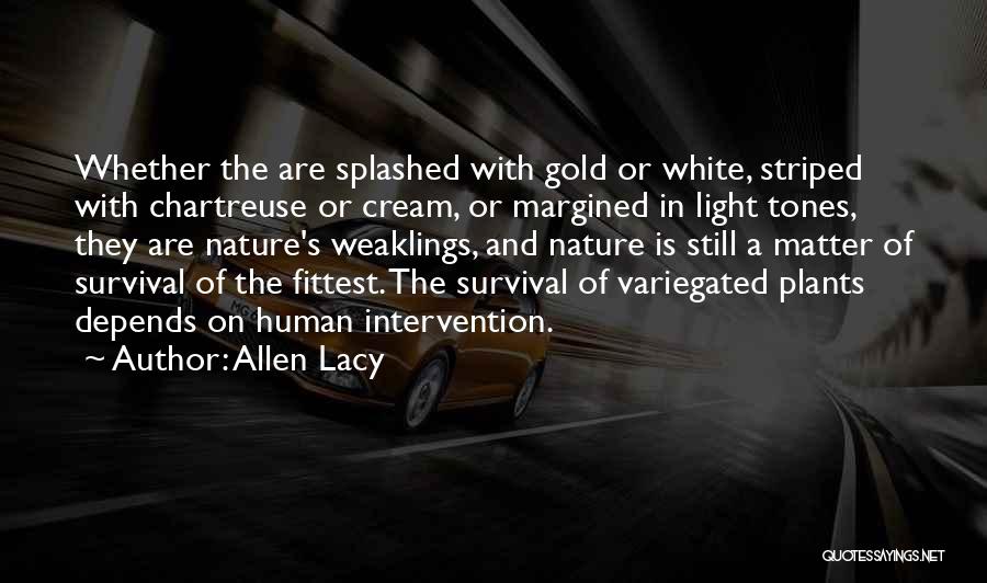 Chartreuse Quotes By Allen Lacy