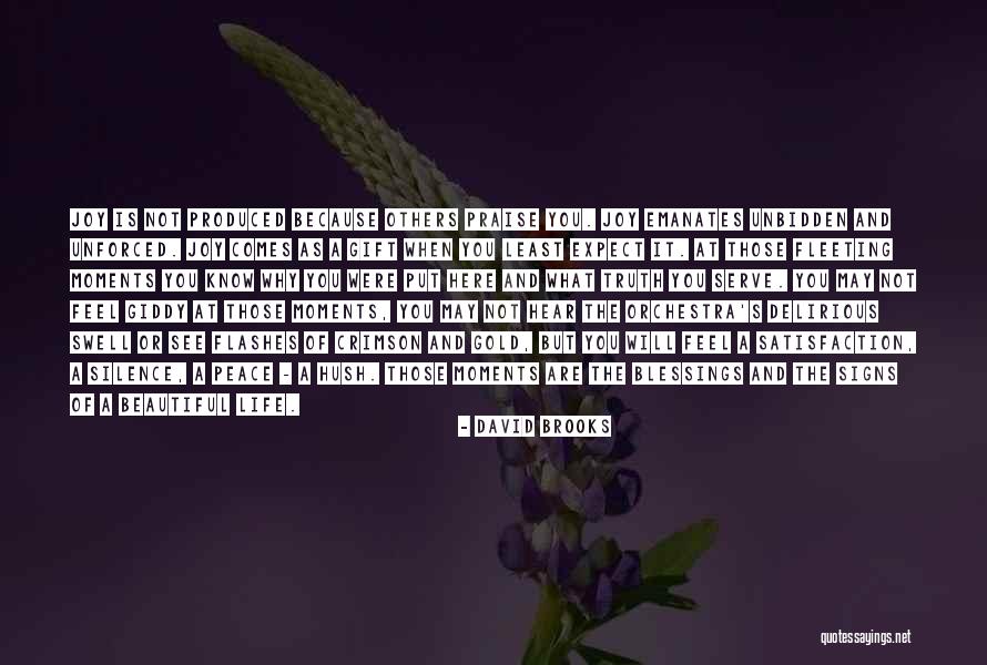 Chartron Trebuchet Quotes By David Brooks Chartron Trebuchet Quotes By David Brooks