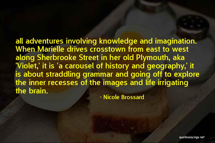 Charvaka Quotes By Nicole Brossard Charvaka Quotes By Nicole Brossard