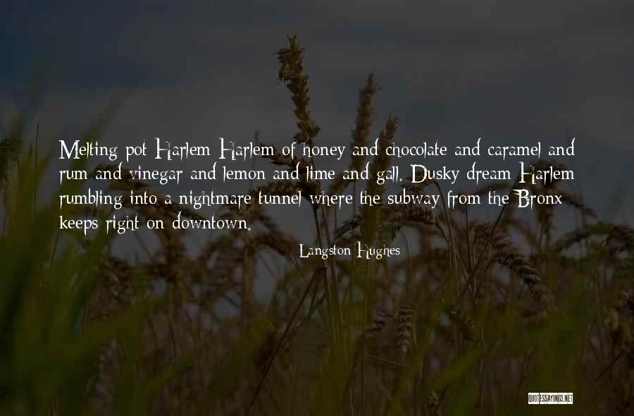 Charwoman Quotes By Langston Hughes Charwoman Quotes By Langston Hughes