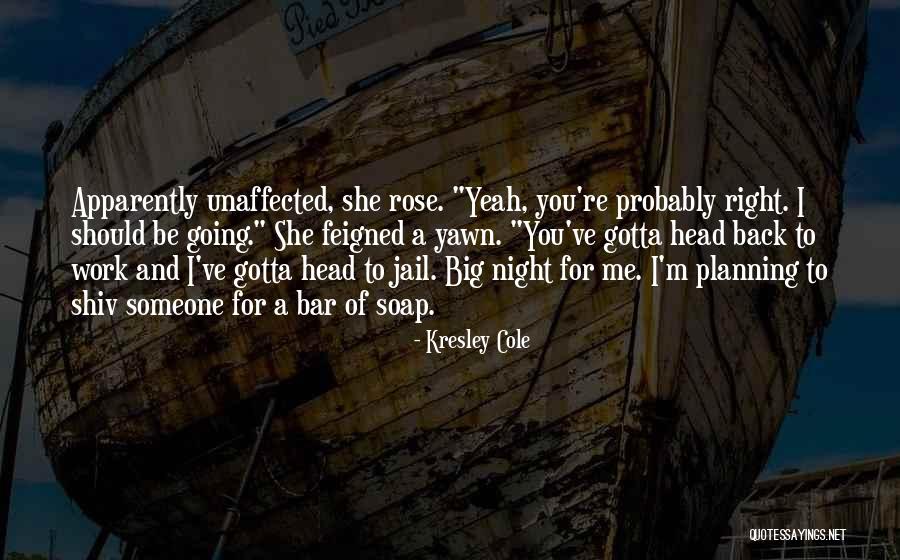 Chase After Me Quotes By Kresley Cole