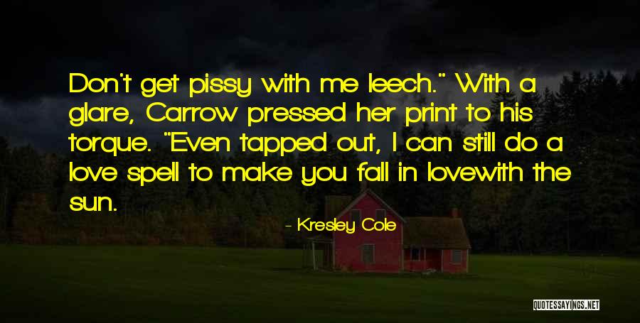 Chase After Me Quotes By Kresley Cole