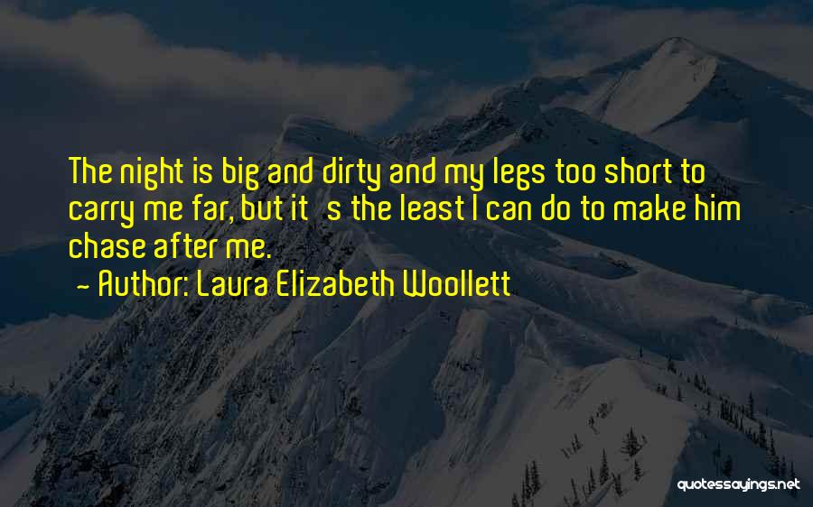 Chase After Me Quotes By Laura Elizabeth Woollett