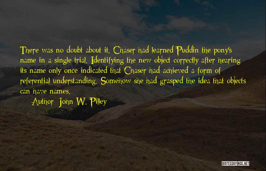 Chaser Quotes By John W. Pilley