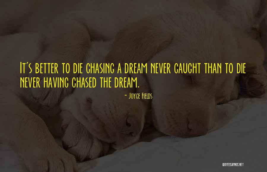 Chasing A Dream Quotes By Joyce Fields