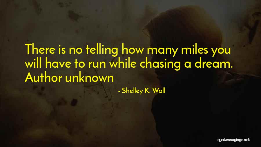 Chasing A Dream Quotes By Shelley K. Wall