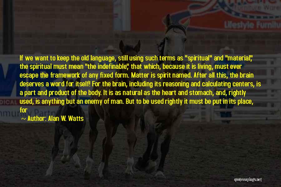 Chasing A Man Quotes By Alan W. Watts
