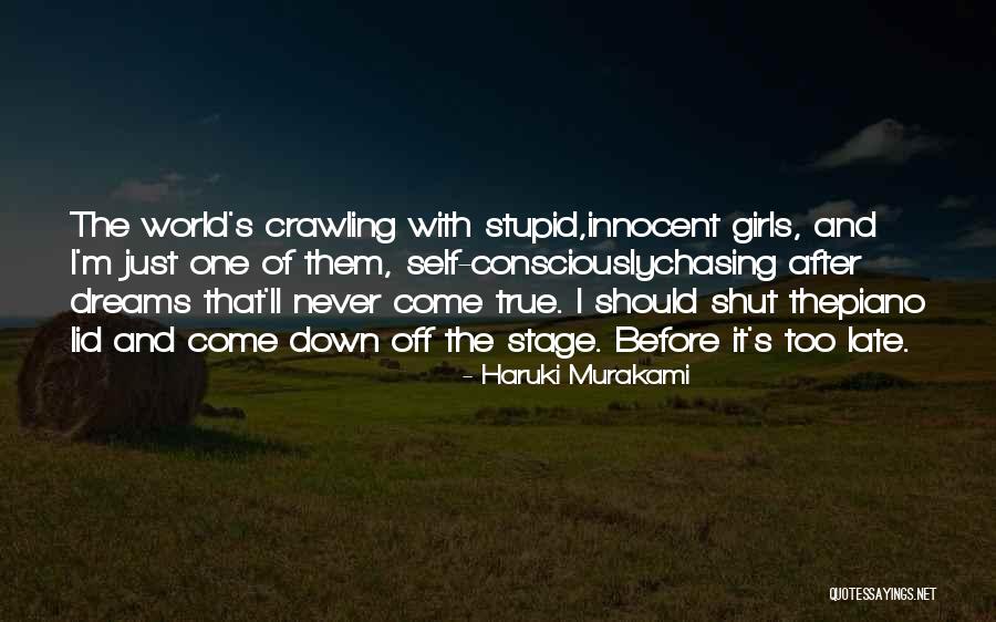 Chasing After My Dreams Quotes By Haruki Murakami