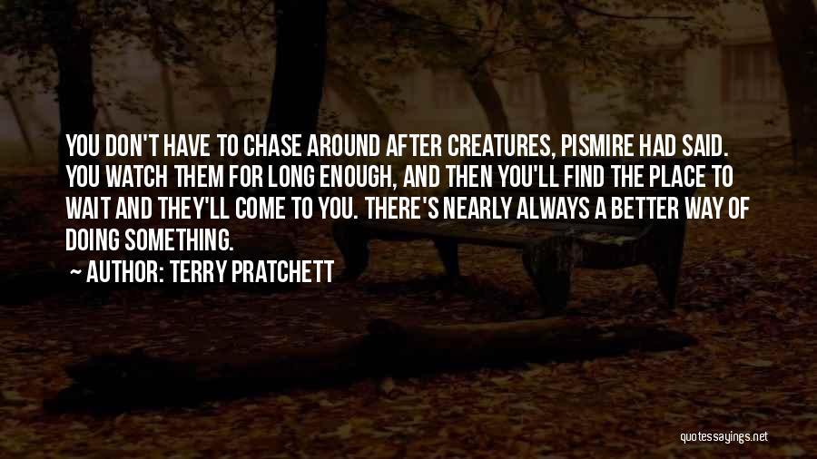 Chasing After Someone Quotes By Terry Pratchett