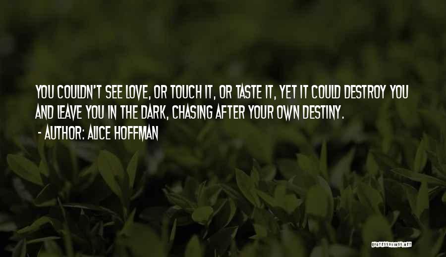 Chasing After Someone You Love Quotes By Alice Hoffman