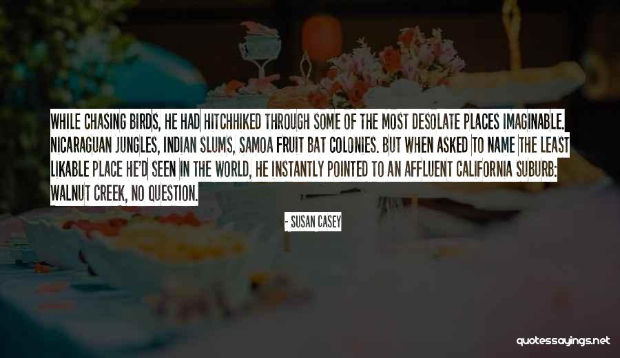 Chasing Birds Quotes By Susan Casey Chasing Birds Quotes By Susan Casey