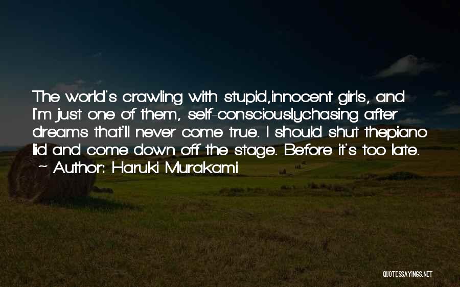 Chasing My Dreams Quotes By Haruki Murakami