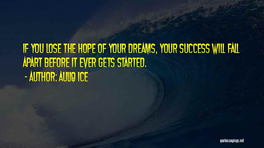 Chasing Success Quotes By Auliq Ice