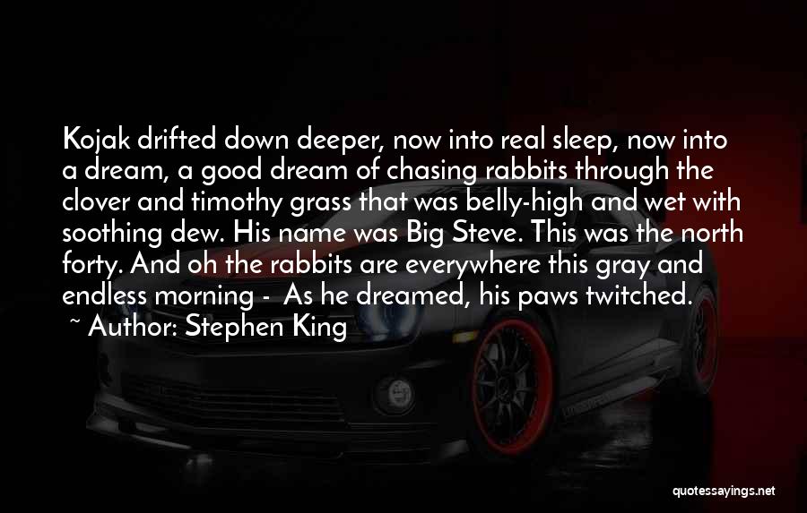 Chasing The Dream Quotes By Stephen King