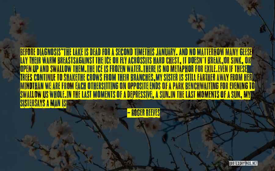 Chasing The Sun Quotes By Roger Reeves Chasing The Sun Quotes By Roger Reeves