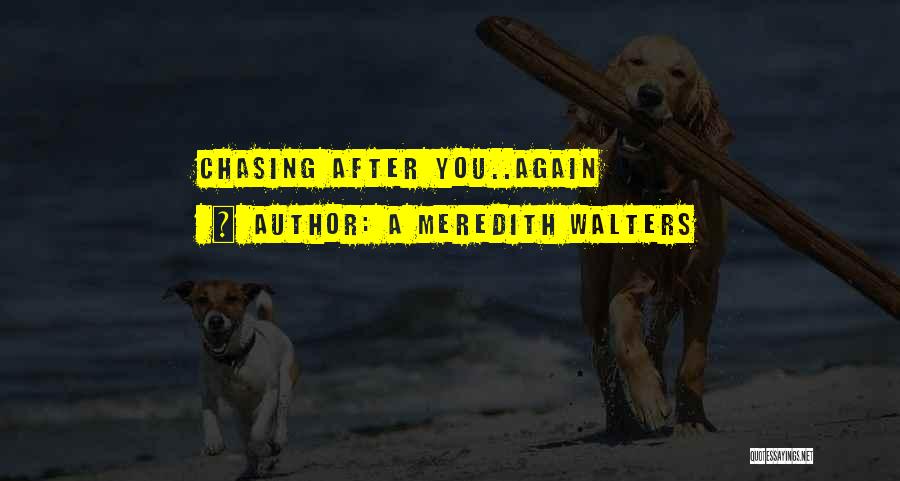 Chasing You Quotes By A Meredith Walters