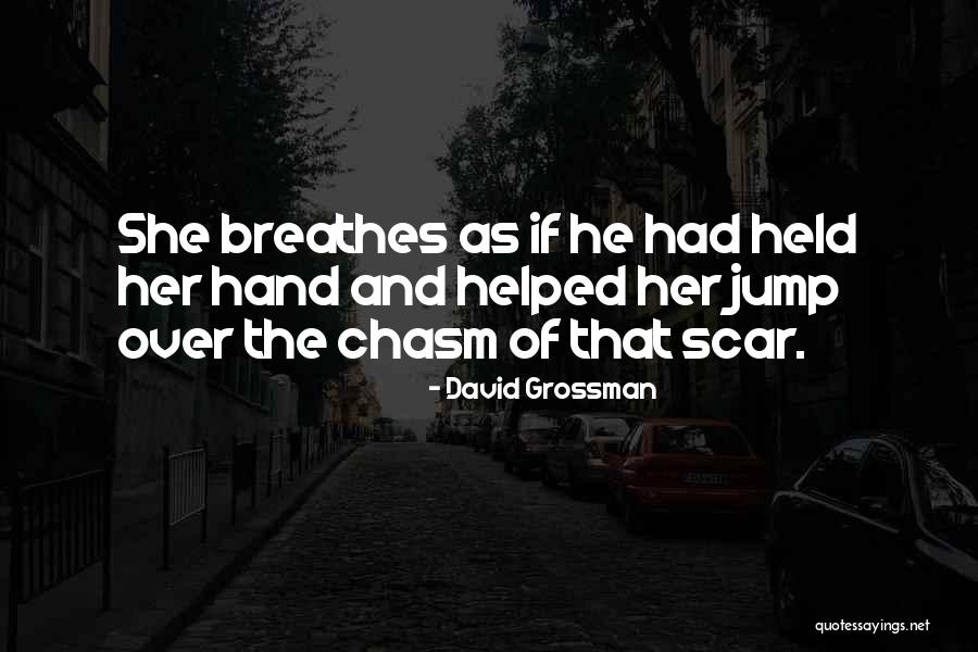 Chasm Quotes By David Grossman Chasm Quotes By David Grossman