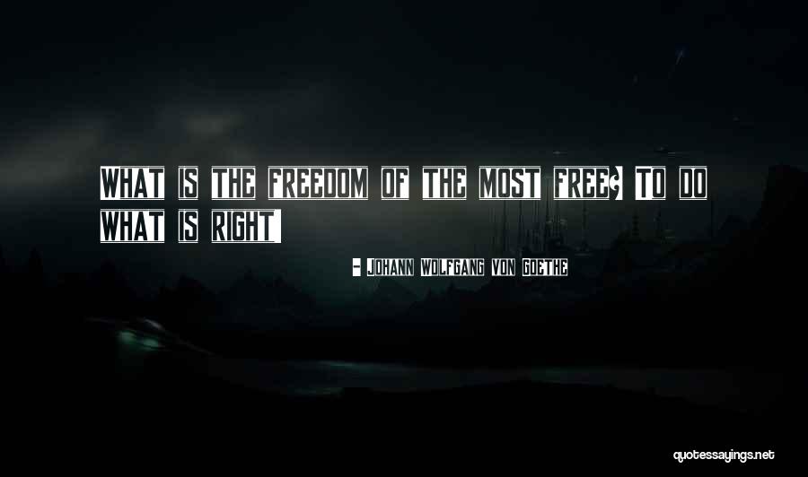 Chasssssss Quotes By Johann Wolfgang Von Goethe Chasssssss Quotes By Johann Wolfgang Von Goethe