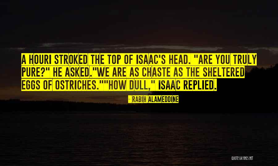 Chaste Quotes By Rabih Alameddine Chaste Quotes By Rabih Alameddine