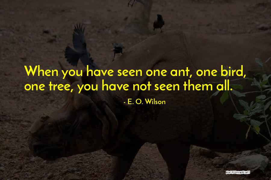 Chateau Sheree Quotes By E. O. Wilson Chateau Sheree Quotes By E. O. Wilson